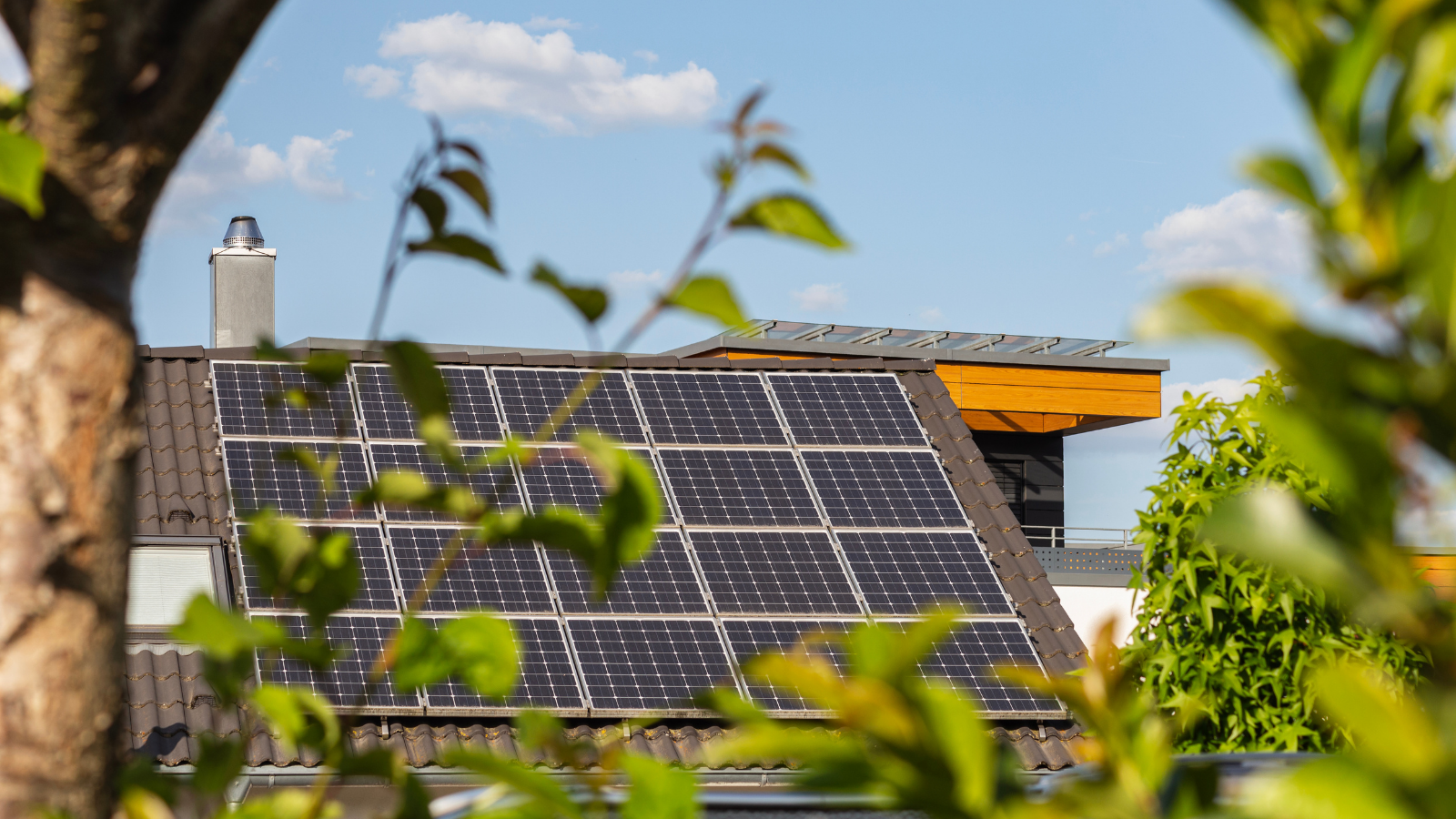 Zonnepanelen op een woonhuisdak, gefotografeerd tussen bladeren, wat het milieuvriendelijke karakter en esthetische integratie benadrukt.